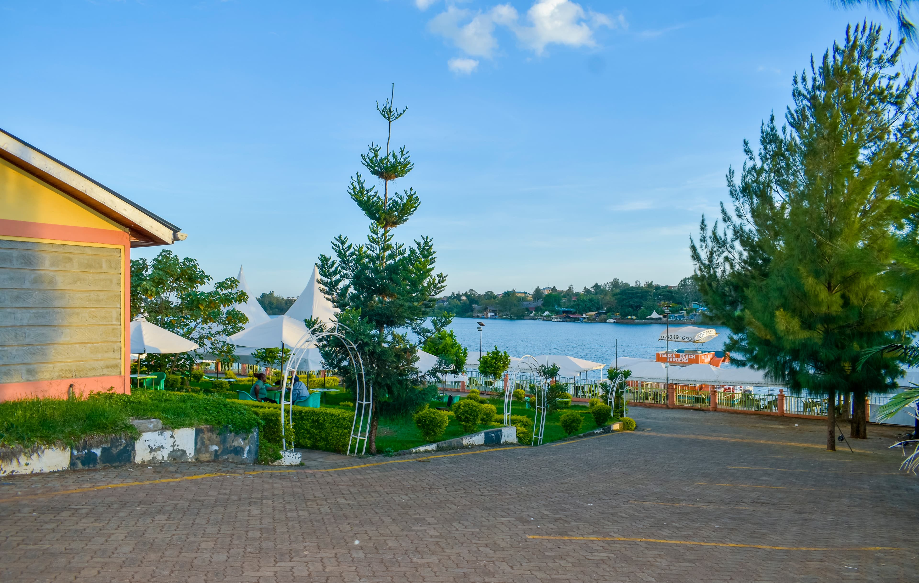 Grand wedding celebration with palm trees and lake view